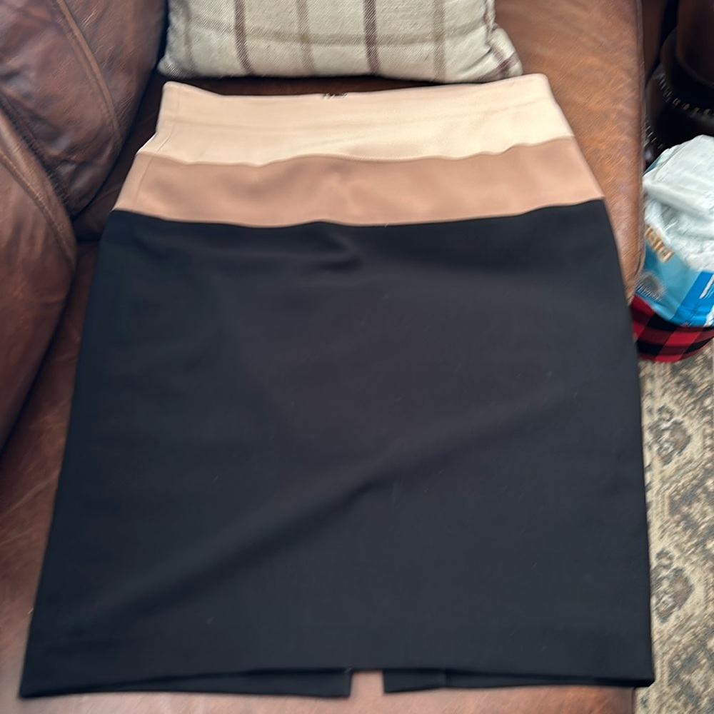 ann Taylor size 12
